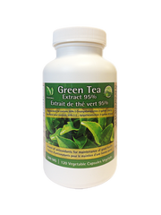 PUR NATURALS GREEN TEA EXTRACT